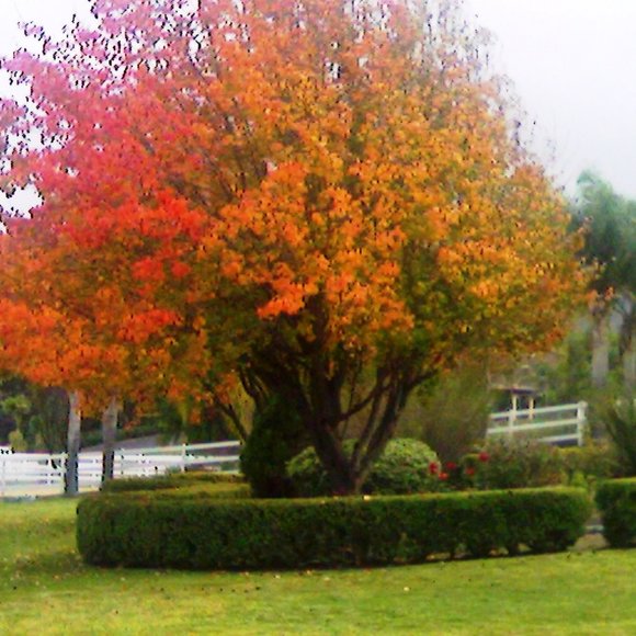 💜 Meet the Posher!! 💜 - Picture 7 of 12